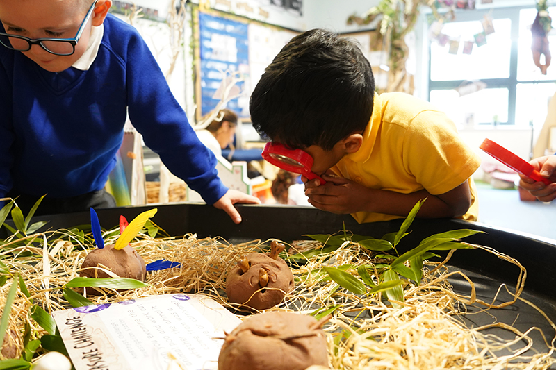 The art of being curious