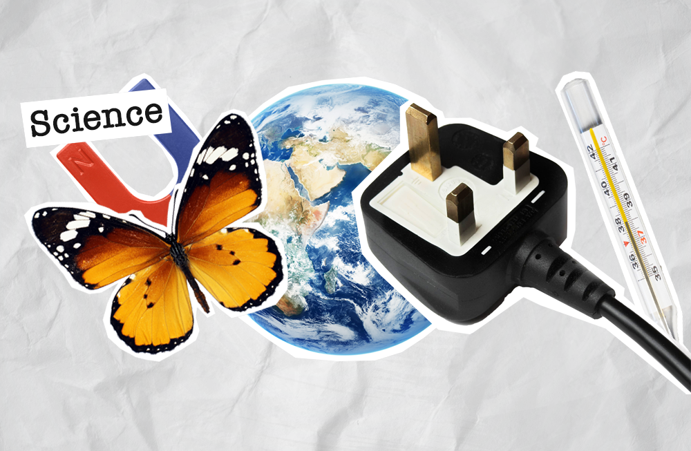 Science is a core subject in the primary curriculum (isn’t it?)