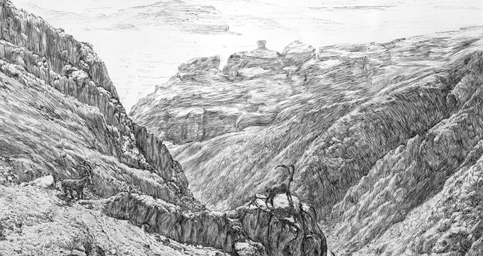 Tints, Tones and Shades (Year 5)