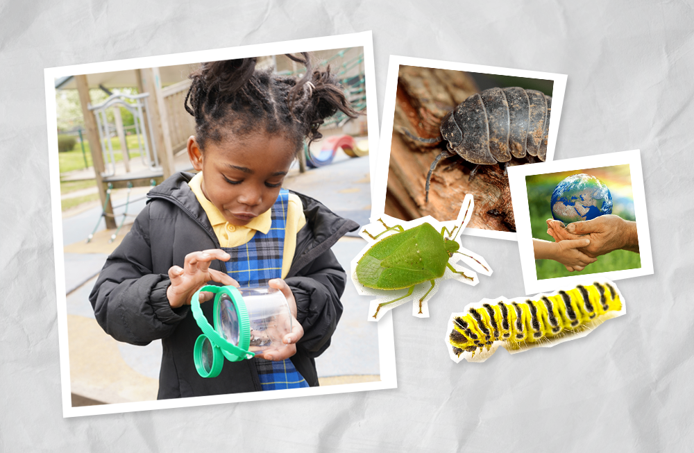 Building a quality curriculum for the early years   