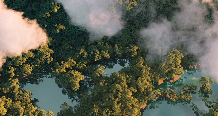 Investigating Our World