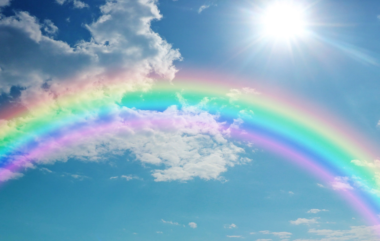 Puddles and Rainbows