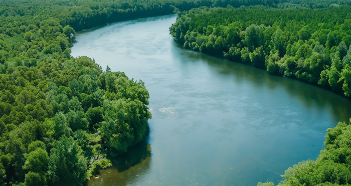 Misty Mountain, Winding River